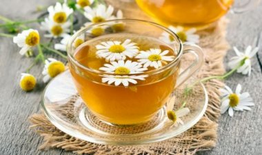 كنز للأعصاب وللصحة.. أهمية تناول كوب من البابونج