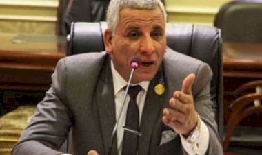 برلماني: رفع فيتش تصنيف مصر الائتماني يعكس استقرار الاقتصاد وكفاءة السياسات المالية