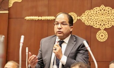 برلمانى: الحزمة الضريبية الجديدة تُعيد هيكلة المنظومة وتعزز قاعدة الممولين