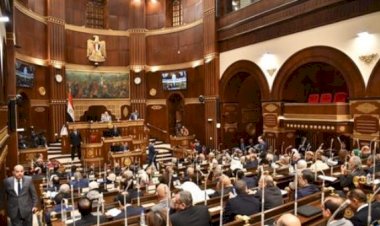 شباب الشيوخ تطالب بتحديث لوائح نقابة المهن الرياضية لمواكبة التطور التشريعي والتكنولوجي