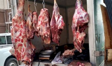 أسعار اللحوم في مصر اليوم الإثنين