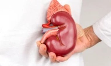 تحذير.. هؤلاء الاشخاص الأكثر عرضة للإصابة بسرطان الكلى   