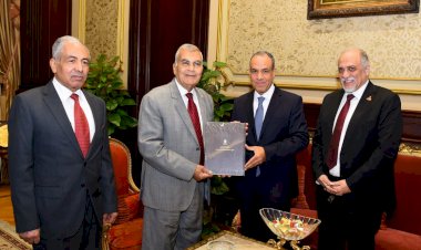 وزير الخارجية يلتقي رئيس مجلس الشيوخ