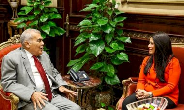 وزيرة التخطيط الدولي تلتقي رئيس مجلس الشيوخ