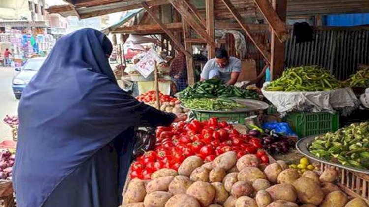 أسعار الخضروات والفاكهة في مصر اليوم الاربعاء