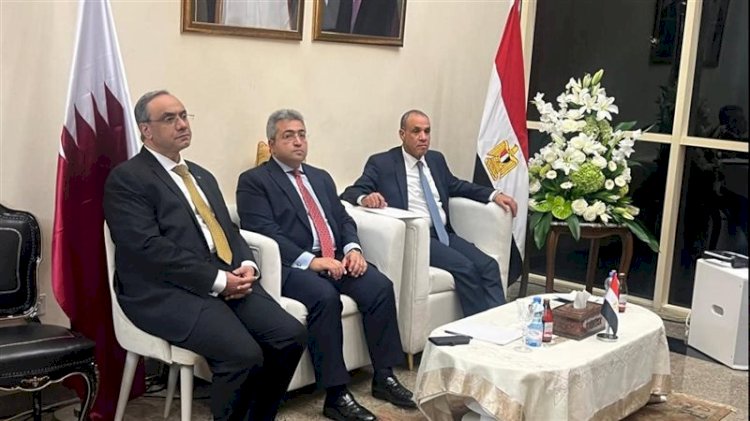 وزير الخارجية يلتقي الجالية المصرية في قطر