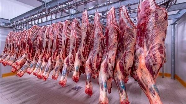 أسعار اللحوم في مصر اليوم الاربعاء