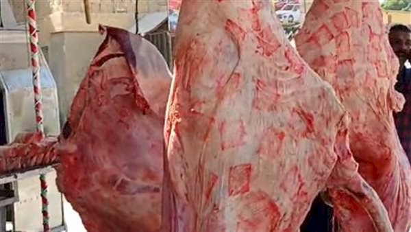أسعار اللحوم في مصر اليوم الخميس