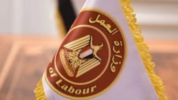 وزارة العمل تُعلن عن فرص عمل جديدة في  شركات خاصة.. بالتعاون مع مديرية عمل الجيزة