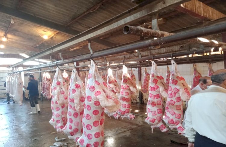 أسعار اللحوم في مصر اليوم الاربعاء