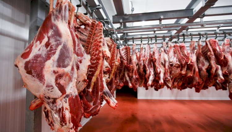 أسعار اللحوم في مصر اليوم السبت