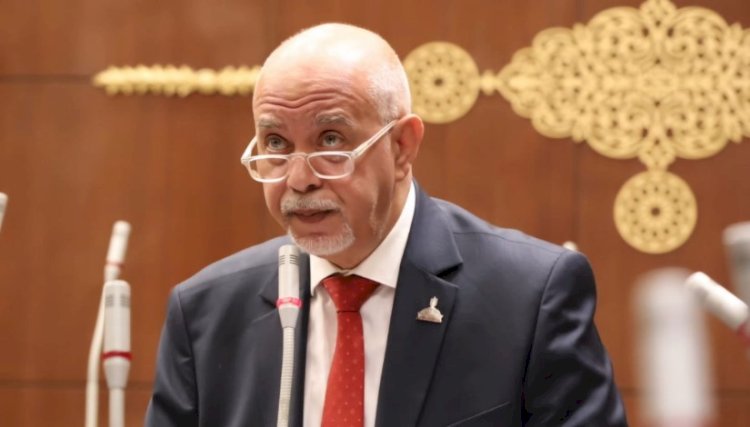 النائب حازم الجندى يؤكد أهمية تعديلات قانون الكهرباء لحماية المال العام