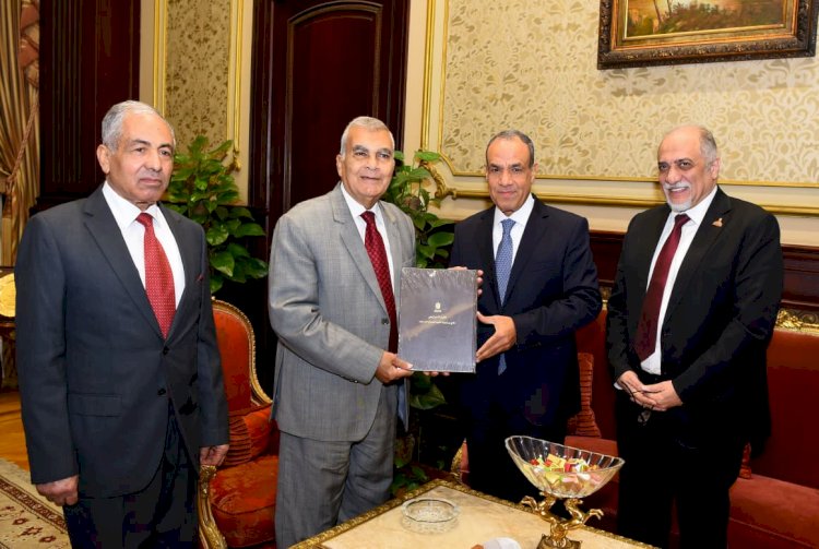 وزير الخارجية يلتقي رئيس مجلس الشيوخ