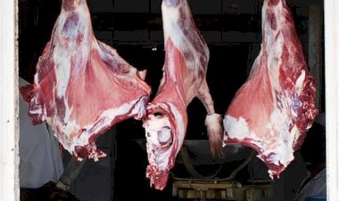 أسعار اللحوم في مصر اليوم الأحد