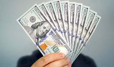 أسعار الدولار في مصر اليوم الاربعاء 