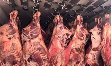 أسعار اللحوم في مصر اليوم الخميس