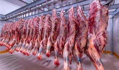 أسعار اللحوم في مصر اليوم السبت