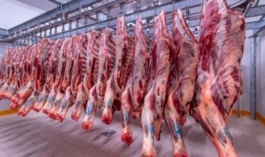 أسعار اللحوم في مصر اليوم الإثنين