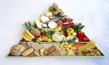 الهرم الغذائي الجديد.. نظام صحي لمواجهة أمراض العصر