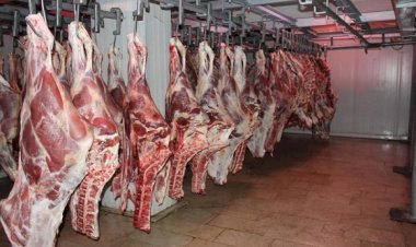 أسعار اللحوم في مصر اليوم الجمعة