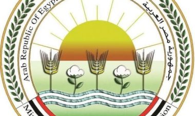 "الزراعة" تعلن حصول "بحوث وقاية النباتات" على الاعتماد الدولي في إدارة الابتكار