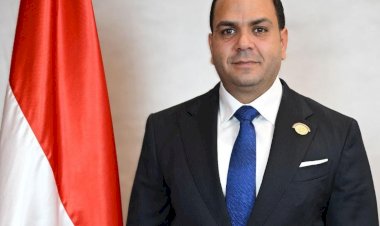 برلماني: رسائل الرئيس بدافوس تفتح آفاقا للتعاون مع كبرى المؤسسات الدولية