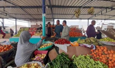أسعار الخضار والفاكهة في الأسواق اليوم الخميس