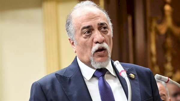 مستقبل وطن: ننتقل من الفوز الانتخابي إلى العمل البرلماني الجاد