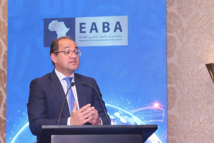 وزير المالية.. في مؤتمر «جمعية رجال الأعمال المصريين الأفارقة وإي. تاكس»: