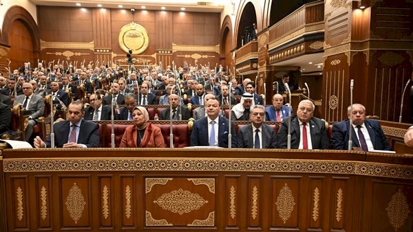 رئيس مجلس الشيوخ يعلن تشكيل لجنة القيم