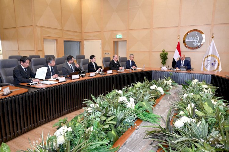 وزير الصناعة يبحث مع شركتي تويوتا إيجيبت لهندسة السيارات وتويوتا تسوشو فرص ضخ الاستثمارات