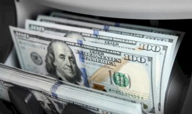 أسعار الخضار والفاكهة في الأسواق اليوم الإثنين