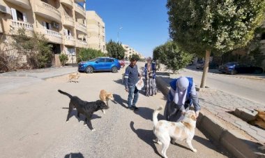 الزراعة تعلن تحصين وتعقيم أكثر من 11 ألف كلب حر منذ يناير وتنفيذ 779 ندوة إرشادية لرفع الوعي المجتمعي