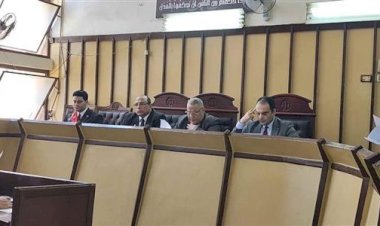 جنايات بورسعيد تحيل أوراق سائق إلى المفتى لاتهامه بقتل زوجته فى الضواحى