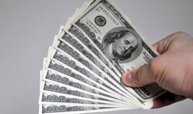 أسعار الدولار في مصر اليوم الاربعاء