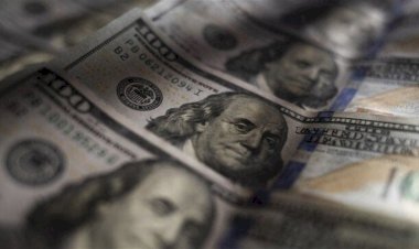 أسعار الدولار في مصر اليوم الأحد