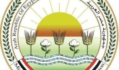 "الزراعة": تحصين 12,665 كلب حر وتعقيم 1,593 منذ يناير ضمن الحملة القومية لمكافحة مرض السعار