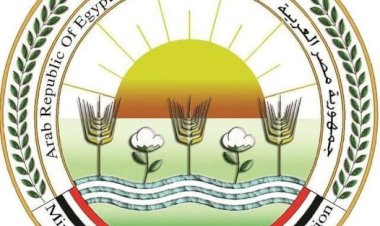 "الزراعة" تطلق حزمة خدمات مجانية ودعماً فنياً لمربي الدواجن لرفع كفاءة الإنتاج