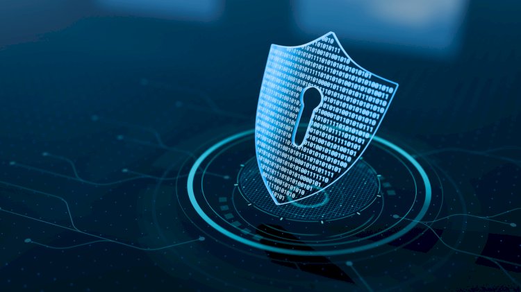 المحكمة الاقتصادية تعاقب عصابة للجرائم السيبرانية مصنفة ضمن الـ5 الأخطر عالميا