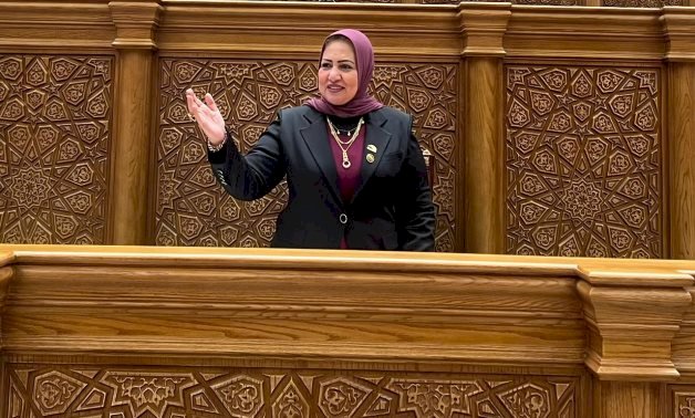 نائبة: الأمن القومى والسياسة الخارجية والتنمية الاقتصادية أولوية الحكومة