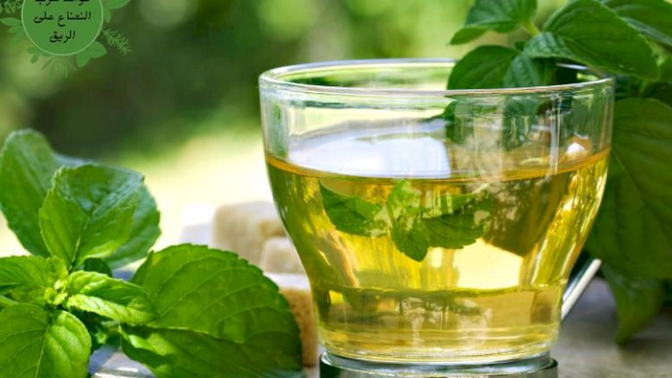 بعيدا عن المعدة .. النعناع علاج لمشكلة صحية منتشرة بكثرة