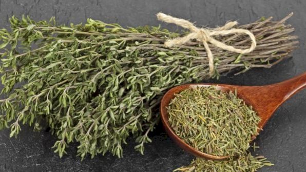 عشب غير متوقع يقوى النظر والقلب والضغط.. تعرف عليه