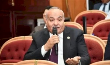 برلماني: وحدة الصف والالتفاف حول الدولة ومؤسساتها الطريق الآمن لعبور التحديات