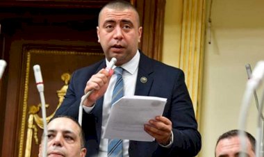 رئيس برلمانية حماة الوطن : لا نساوم الحكومة وما يهمنا تحقيق الصالح العام