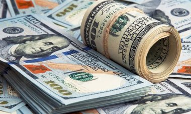 أسعار الدولار في مصر اليوم الخميس