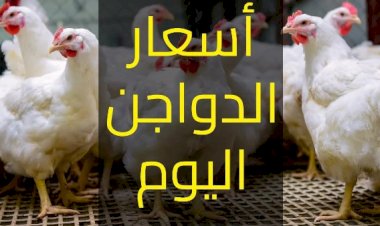 أسعار الدواجن في الأسواق اليوم الثلاثاء