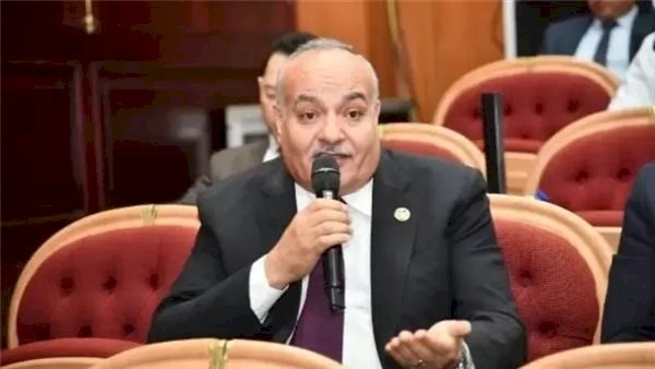 برلماني: وحدة الصف والالتفاف حول الدولة ومؤسساتها الطريق الآمن لعبور التحديات