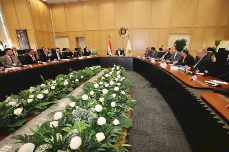 وزير النقل يبحث مع الرئيس التنفيذي لشركة بلاسر النمساوية