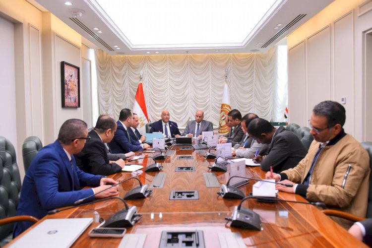 وزير العمل يلتقي الرئيس التنفيذي لجهاز تنمية المشروعات المتوسطة والصغيرة ومتناهية الصغر