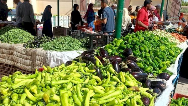 أسعار الخضار والفاكهة في مصر اليوم الثلاثاء